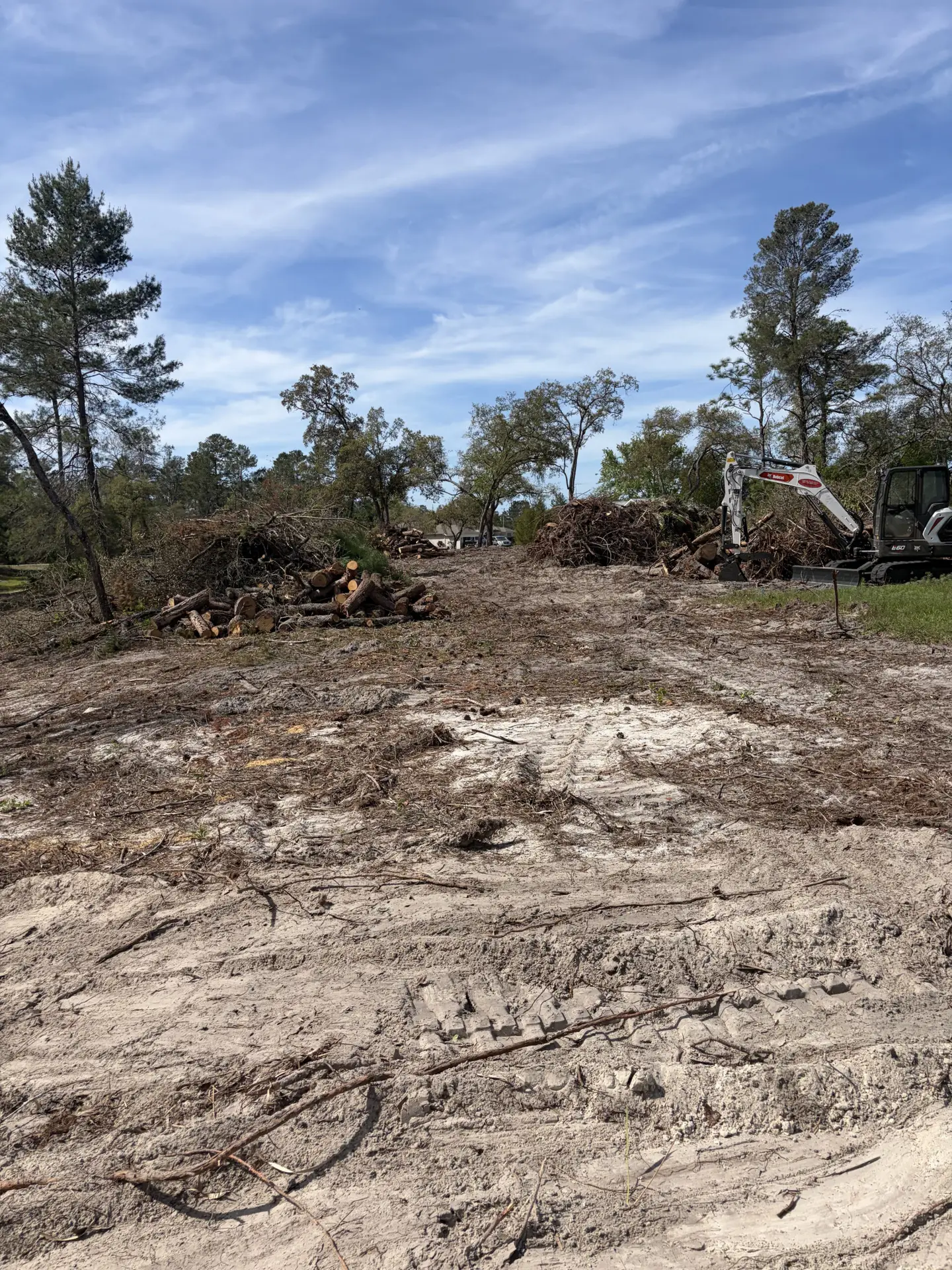 Excavator and forestry mulcher clearing wooded Florida property for site preparation